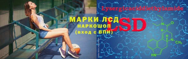 мяу мяу мука Горно-Алтайск