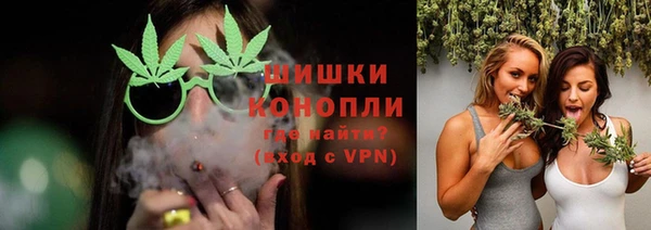мяу мяу мука Горно-Алтайск