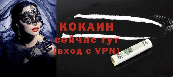 бошки Горняк