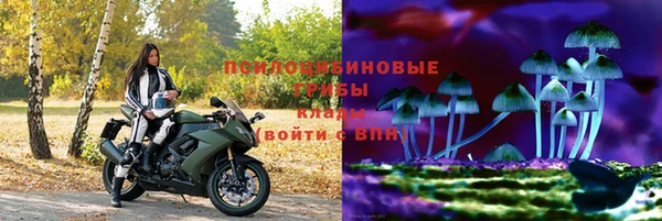 гашик Горнозаводск
