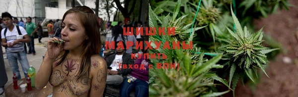 бошки Горняк