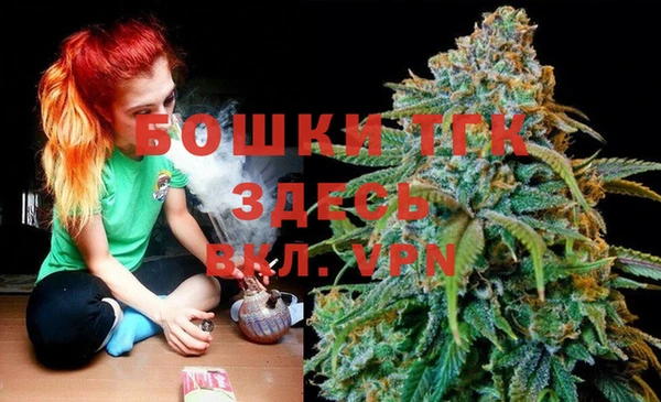 бошки Горняк