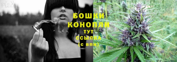 бошки Горняк