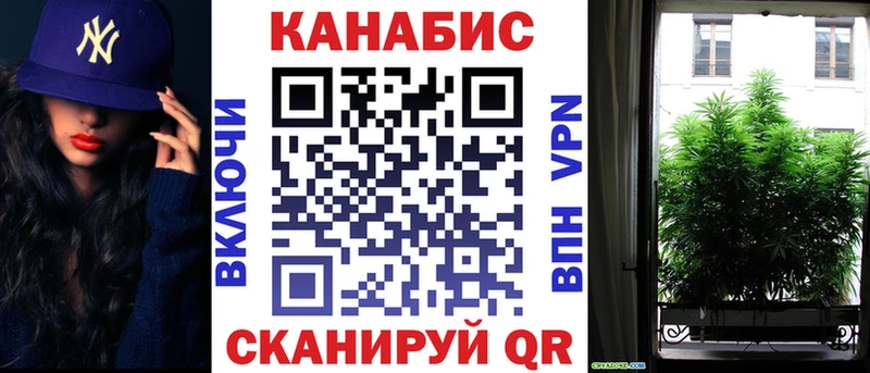 Купить закладки  Анадырь  МАРИХУАНА сатива 